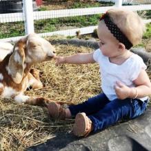 image - child touches baby animal at Old M Farm in NY (117296351_3315247608570836_5659940954547329991_n)