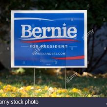 Bernie sign on lawn